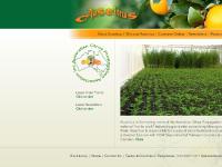 auscitrus.com.au auscitrus.com.au