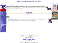 australianterrierdogforsale.com australian terrier dogs for sale, australianterrierdogsforsale, www.australianterrierdogforsale.com