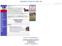 australian terriers for sale, australianterriers, www.australianterrierforsale.net