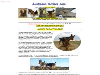 australianterriers.com australian terriers, australianterriers, australianterriers.com