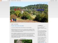 safran, Posts (Atom), ▼ , ▼   safran, Posts (Atom), ▼ , ▼
