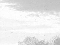  Final, Godflesh, Avalanche Records, Avalanche Inc.