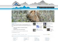 Anchors, Avalanche, Netting, Nets Anchors, Avalanche, Netting, Nets