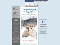 Photos, Traîneau à chiens, La p'tite vite, La Balade Photos, Traîneau à chiens, La p'tite vite, La Balade