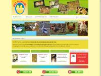 AVI-IMPORT - Production et vente de poussins d'un jour et démarrés - Ile de la Réunion ( 974 ) AVI-IMPORT - Production et vente de poussins d'un jour et démarrés - Ile de la Réunion ( 974 )