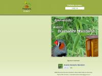 Avario Diamante Mandarin Avario Diamante Mandarin