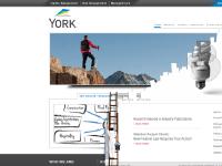 avizentrisk.com Our Services, Our Leadership Team, Mission and Vision avizentrisk.com Our Services, Our Leadership Team, Mission and Vision