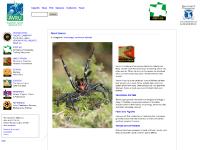 avru.org Sponsors, First Aid, bite avru.org Sponsors, First Aid, bite