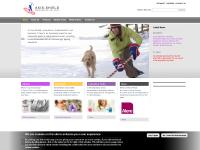  Executive Directors, Non-Executive Directors, Senior Management Team, Our Group