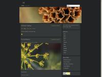 ayavaya.com bug photos, insect photos, plant photos