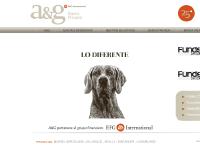 A&G Asesores y Gestores Financieros A&G Asesores y Gestores Financieros