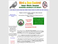 azwns.com Services, Birds, Bees azwns.com Services, Birds, Bees