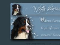 Wiith-hoo's kennel, berner sennen Wiith-hoo's kennel, berner sennen