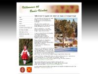 B-ViS- Bonäs-Våmhus i Samverkan