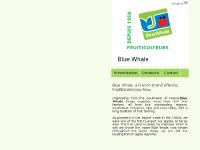 Blue Whale. - site web mobile