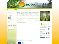  Activities, Impacts, Library, Project deliverables