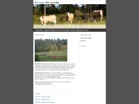 statistik för backabysimmental - Bäckaby Simmental 2011 statistik för backabysimmental - Bäckaby Simmental 2011