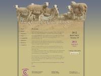 Back Creek White Dorpers