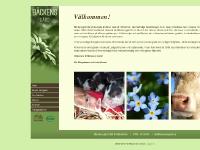 Undantaget Galleri, Gårdshuset Galleri, Priser, Vägbeskrivning Undantaget Galleri, Gårdshuset Galleri, Priser, Vägbeskrivning