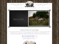 backinthesaddle.ca vancouver, Horse riding Vancouver, trail rides bc