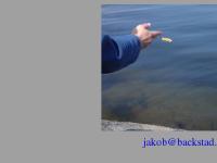 backstad.se backstad.se