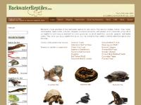 Reptiles for Sale Reptiles for Sale