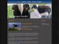 badashell.se Hundarna, Bilder, Om oss badashell.se Hundarna, Bilder, Om oss