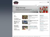 badgerfire.com badgerfire.com