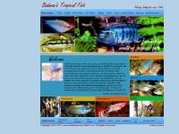 Take A Look, Who Am I , Beginner's Circle, Spuds  Take A Look, Who Am I , Beginner's Circle, Spuds