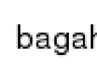 visa bagaholic.se data