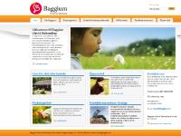 Baggium - Samhällsnyttiga Tjänster Baggium - Samhällsnyttiga Tjänster