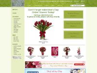  WINTER, BIRTHDAY, WINTER, OCCASIONS