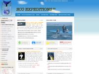 baja-eco-expeditions.com whale watching, greywhales, eco tours