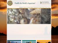 Baja Kayak Adventure Tours | Paddle the World's Aquarium!