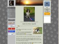 Forsia mi - www.bajaz.org