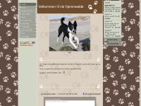 liten bakke-bergersen.com skjermbilde