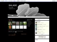  CHRONIQUES DE NOTRE QUARTIER, MATHEMATIQUE DE L'IMAGE, Marché de Papeete, voyage