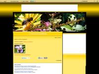 BALADES ENTOMOLOGIQUES