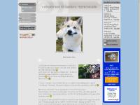 Baldergutten - www.baldergutten.net Baldergutten - www.baldergutten.net