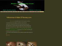 Balls of Norway Balls of Norway