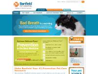 banfield.com veterinarian, pet hospital in, pet health banfield.com veterinarian, pet hospital in, pet health