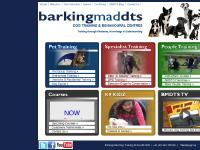 Barking Mad Dog Training School Hertfordshire