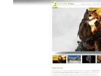 Photo Retouching | Photo Retouching Services | Barking Pixel | Austin Texas