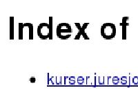 liten batkorkortet.se skärmbild liten batkorkortet.se skärmbild