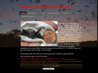 bats101.info bats, endangered bats, helping bats bats101.info bats, endangered bats, helping bats