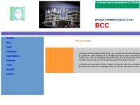 bcctchad.td - bcctchad