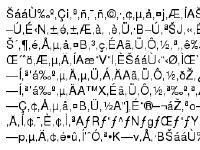 bczl21.com aerobics, crossfit, strength training