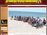 Beagle Club of Queensland - Home Beagle Club of Queensland - Home
