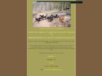 hundtillbehör hundkurser hundtrimning hundcenter hunddagis ...