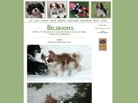 Välkommen till Beliboon's kennel Välkommen till Beliboon's kennel